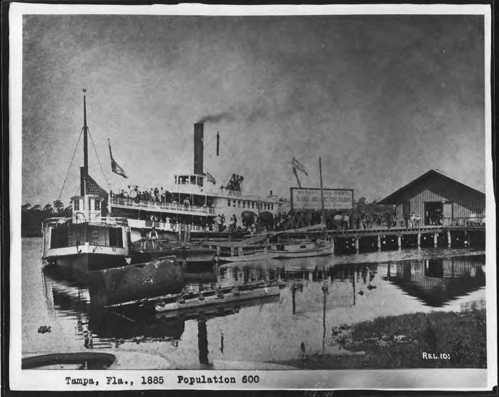 Morgan_Line_paddlewheel_steamers_sharing_dock_with_vessel.jpg