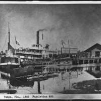 Morgan_Line_paddlewheel_steamers_sharing_dock_with_vessel.jpg