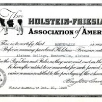 Holstein-Friesian Cow certification